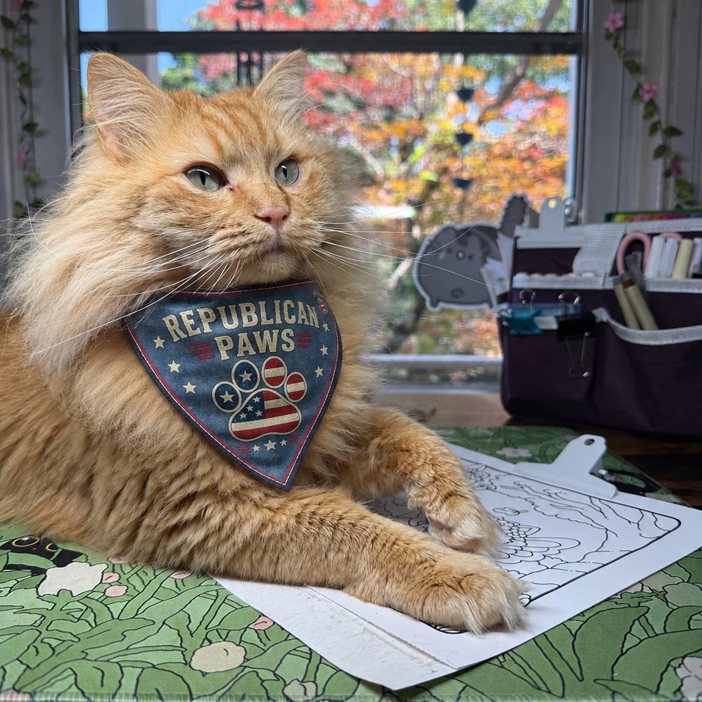 Freedom Collection Cat Bandanas