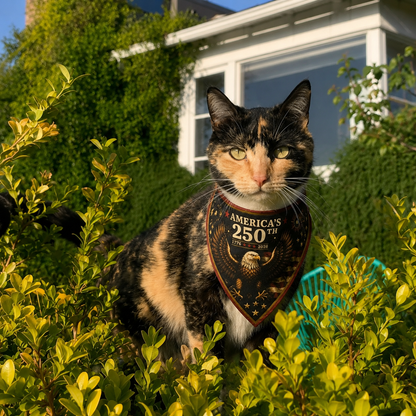 America's 250th Cat Bandana