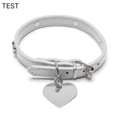 Personalized Waterproof Dog Collar - TEST